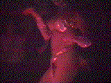 d_girls_body1_ld_night2001.gif